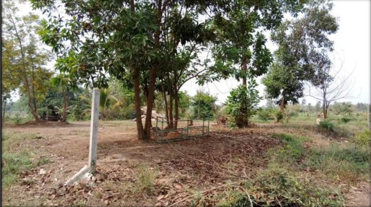 Residential land/lot Sakon Nakhon Sawang Daen Din Waeng 35000