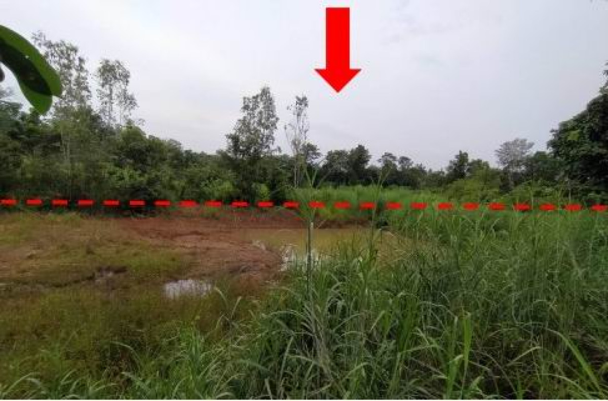 ที่ดินเปล่า สกลนคร บ้านม่วง มาย 183000