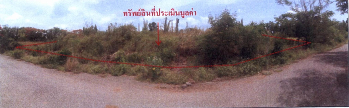 Residential land/lot Pathum Thani Nong Suea Bueng Ba 2466000