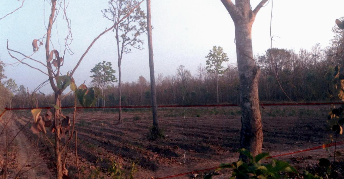 Residential land/lot Sakon Nakhon Sawang Daen Din Waeng 530250