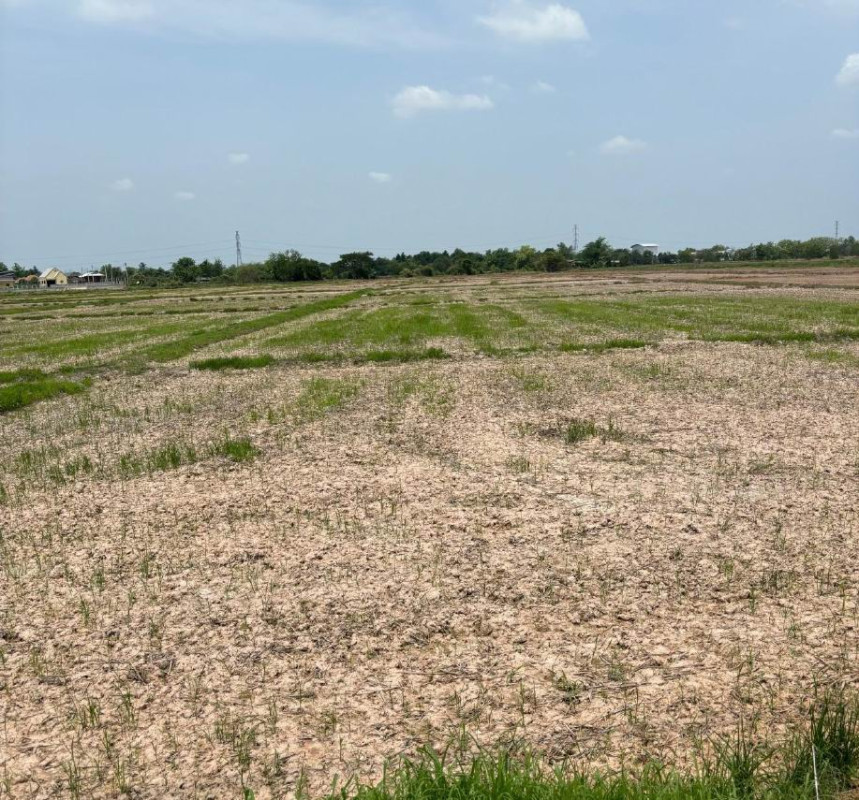 Residential land/lot Lamphun Mueang Lamphun Pa Sak 1021000