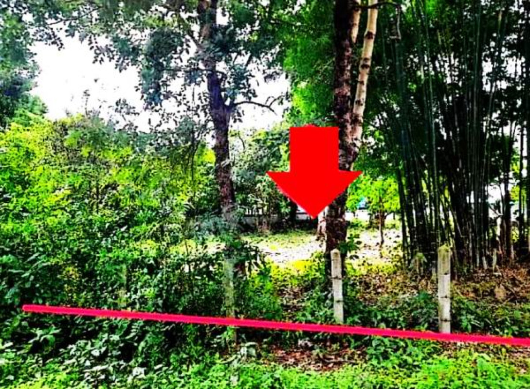 Residential land/lot Roi Et Phanom Phrai Kut Nam Sai 223200