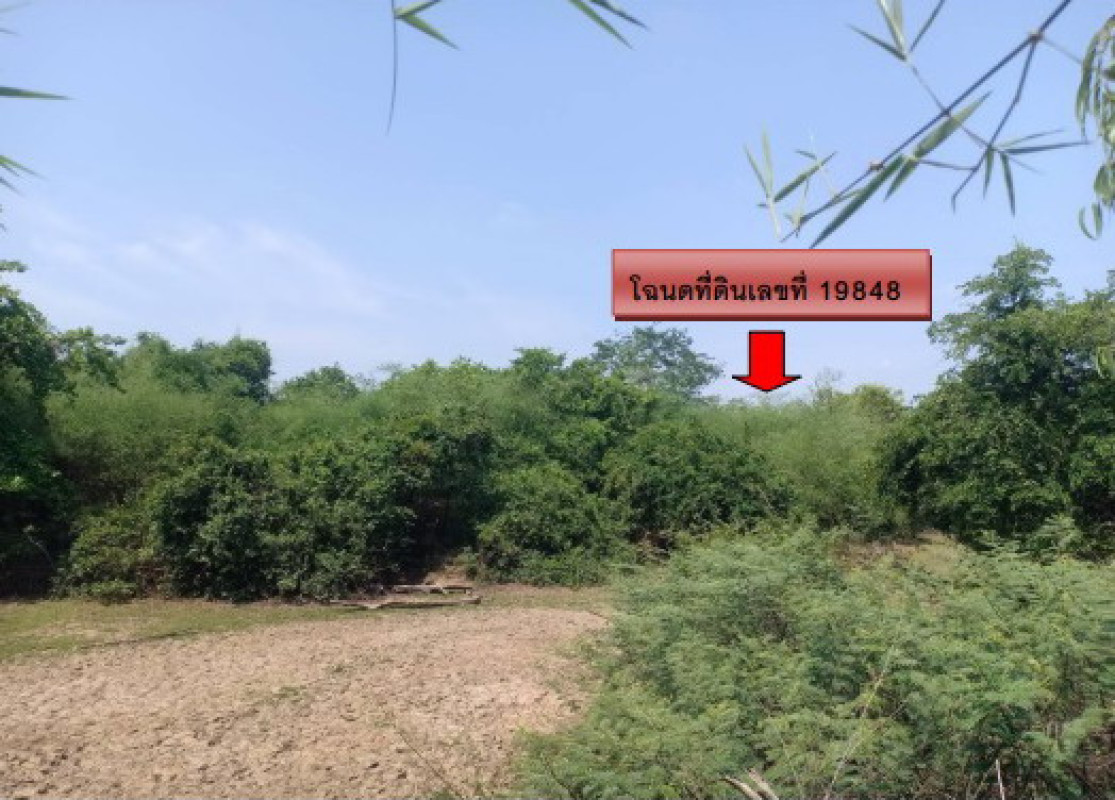 ที่ดินเปล่า สกลนคร วานรนิวาส วานรนิวาส 305500