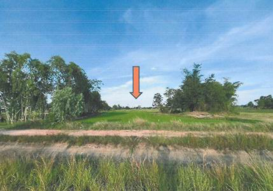 ที่ดินเปล่า ร้อยเอ็ด ธวัชบุรี หนองพอก 240000