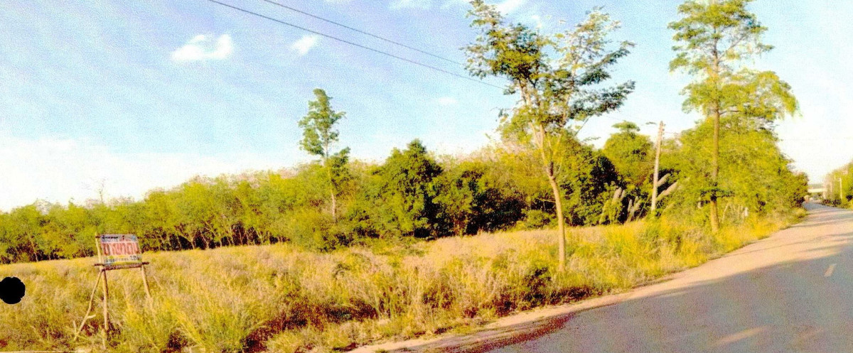 ที่ดินเปล่า บึงกาฬ บึงกาฬ วิศิษฐ์ 6480240