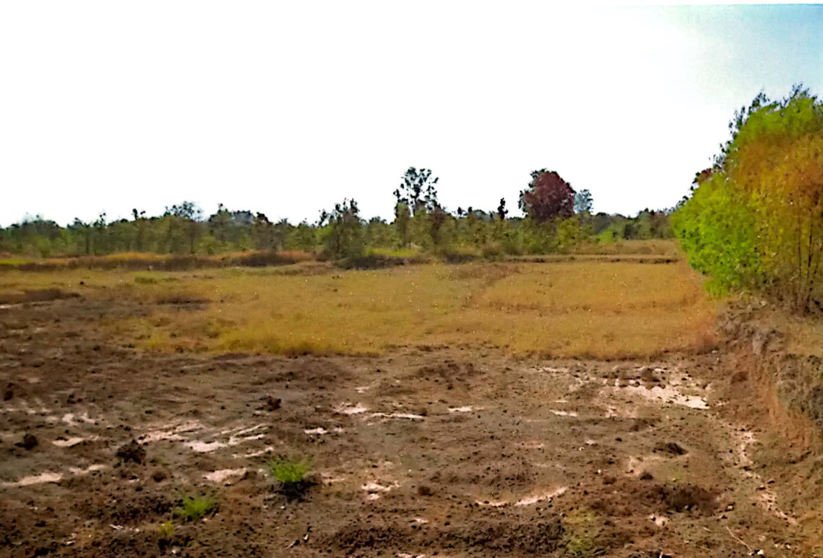 ที่ดินเปล่า สกลนคร สว่างแดนดิน บ้านถ่อน 65325