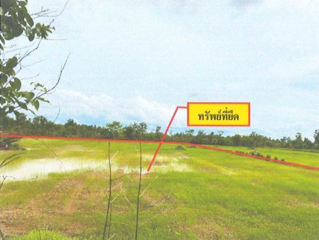Residential land/lot Sakon Nakhon Sawang Daen Din Waeng 409240