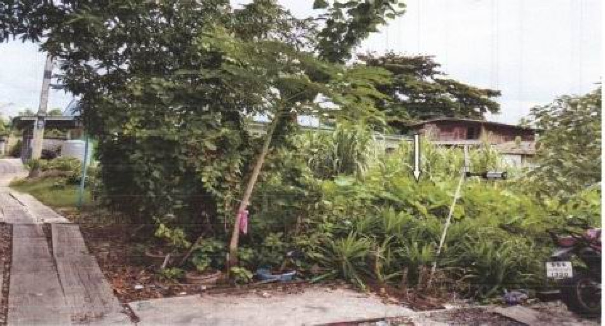 Residential land/lot Bangkok Taling Chan Bang Chueak Nang 562500