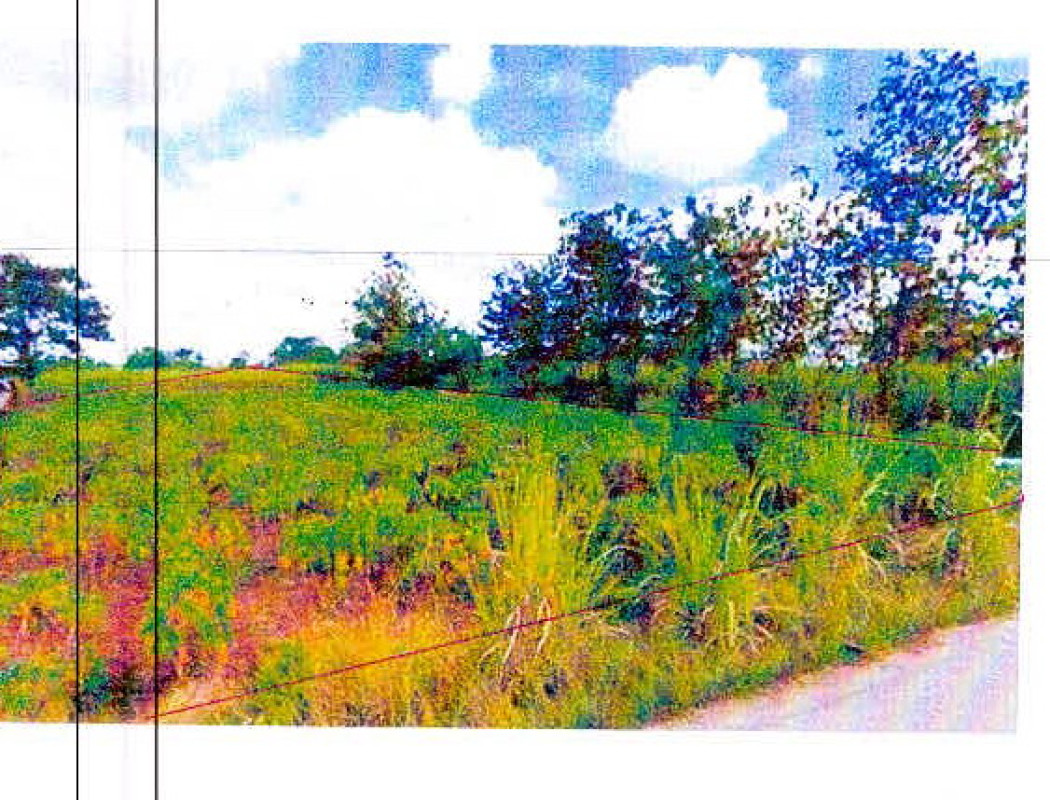 ที่ดินเปล่า เลย วังสะพุง ผาน้อย 119340