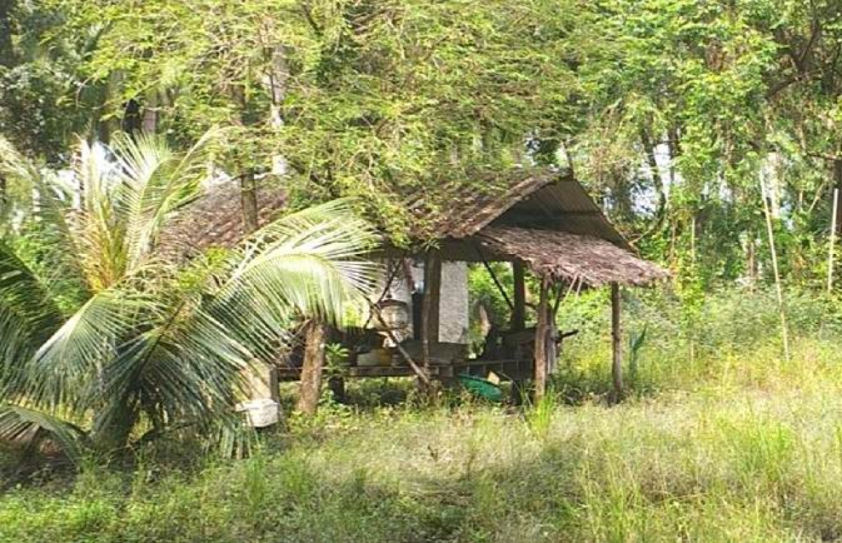 บ้านเดี่ยว นครศรีธรรมราช ปากพนัง คลองน้อย 1218850