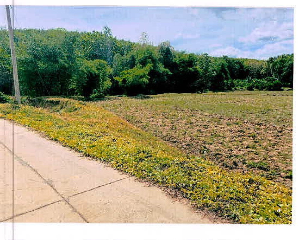 Residential land/lot Loei Chiang Khan Pak Tom 116400