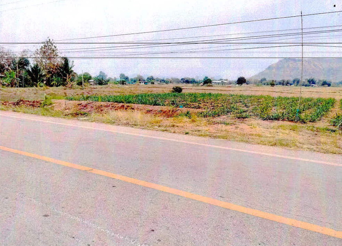 ที่ดินเปล่า เลย หนองหิน ปวนพุ 175400