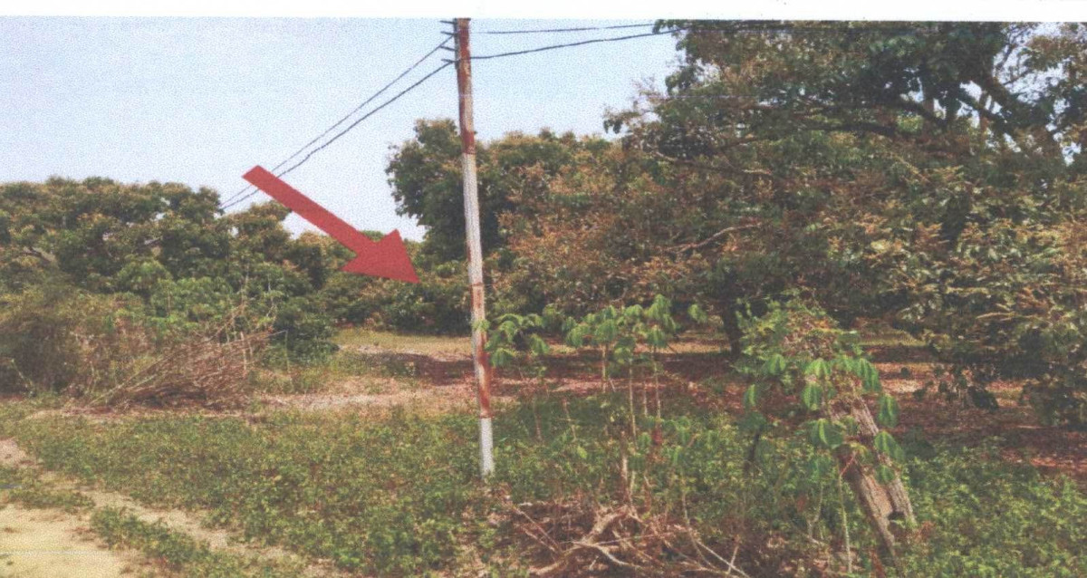 Residential land/lot Lamphun Mueang Lamphun Makhuea Chae 99600