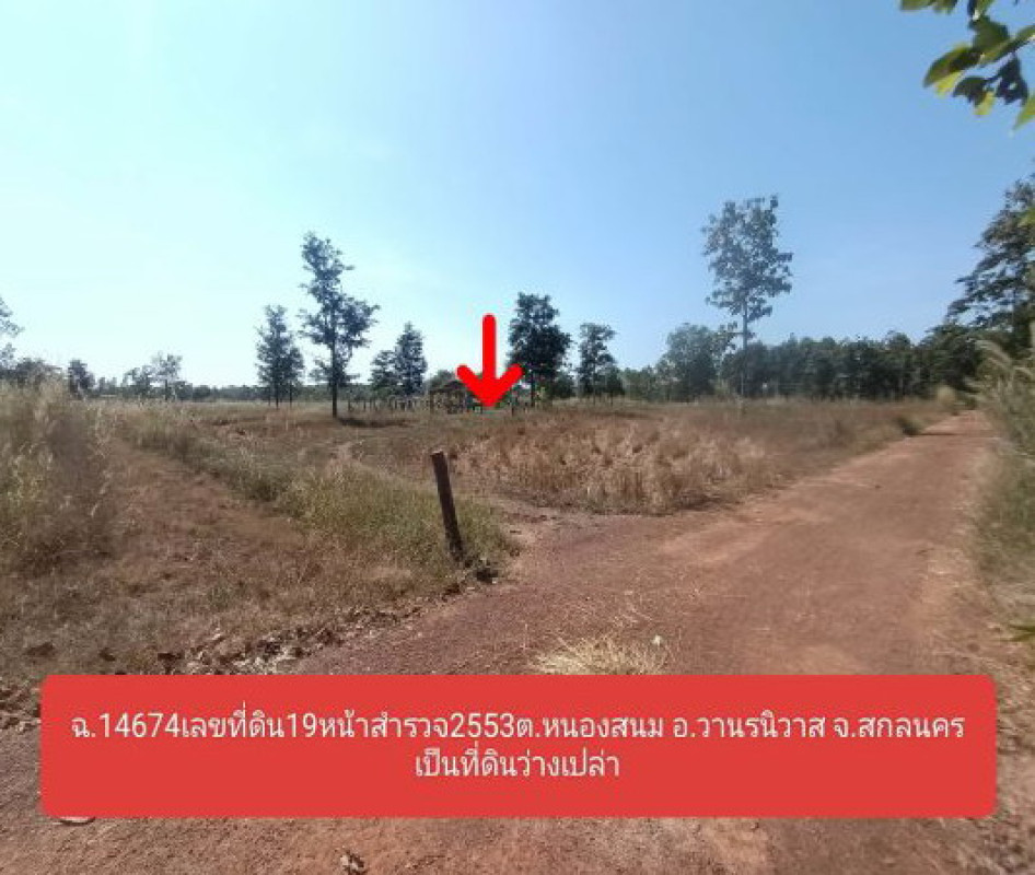 ที่ดินเปล่า สกลนคร วานรนิวาส หนองสนม 233480