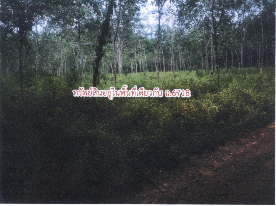 ที่ดินเปล่า สงขลา เทพา วังใหญ่ 183200