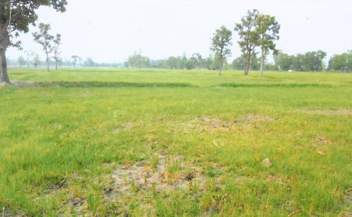 Residential land/lot Roi Et Changhan Phak Waen 976000