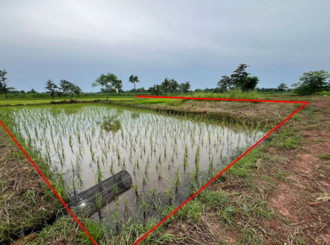 ที่ดินเปล่า สกลนคร เจริญศิลป์ เจริญศิลป์ 191400