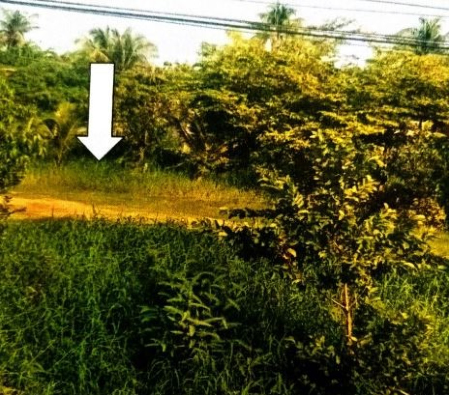 ที่ดินเปล่า สิงห์บุรี ท่าช้าง ถอนสมอ 110000