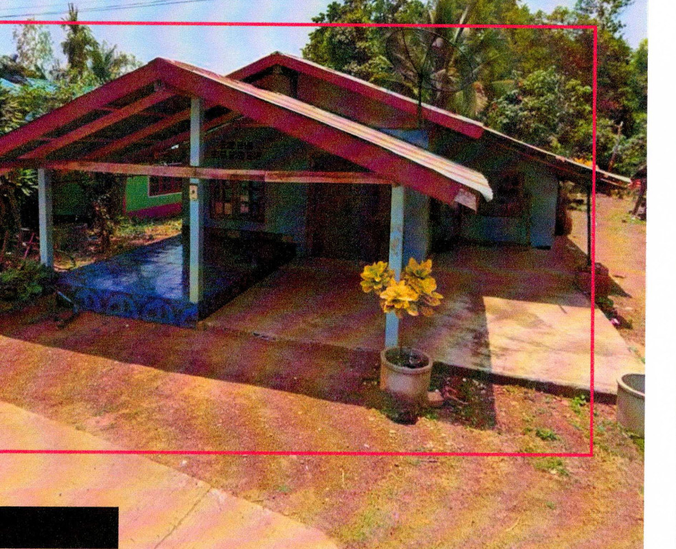 บ้านเดี่ยว บึงกาฬ เซกา ซาง 687087