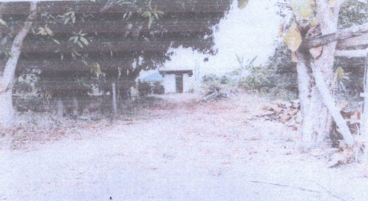ที่ดินเปล่า ลำพูน บ้านโฮ่ง บ้านโฮ่ง 401850