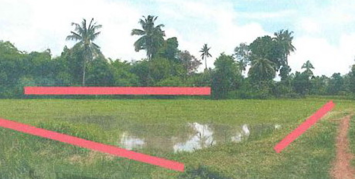 ที่ดินเปล่า ร้อยเอ็ด อาจสามารถ โพนเมือง 546000