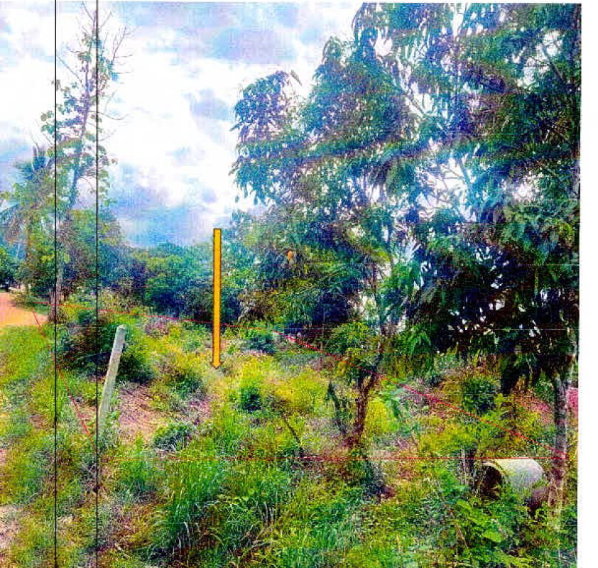 Residential land/lot Loei Chiang Khan Bu Hom 60880