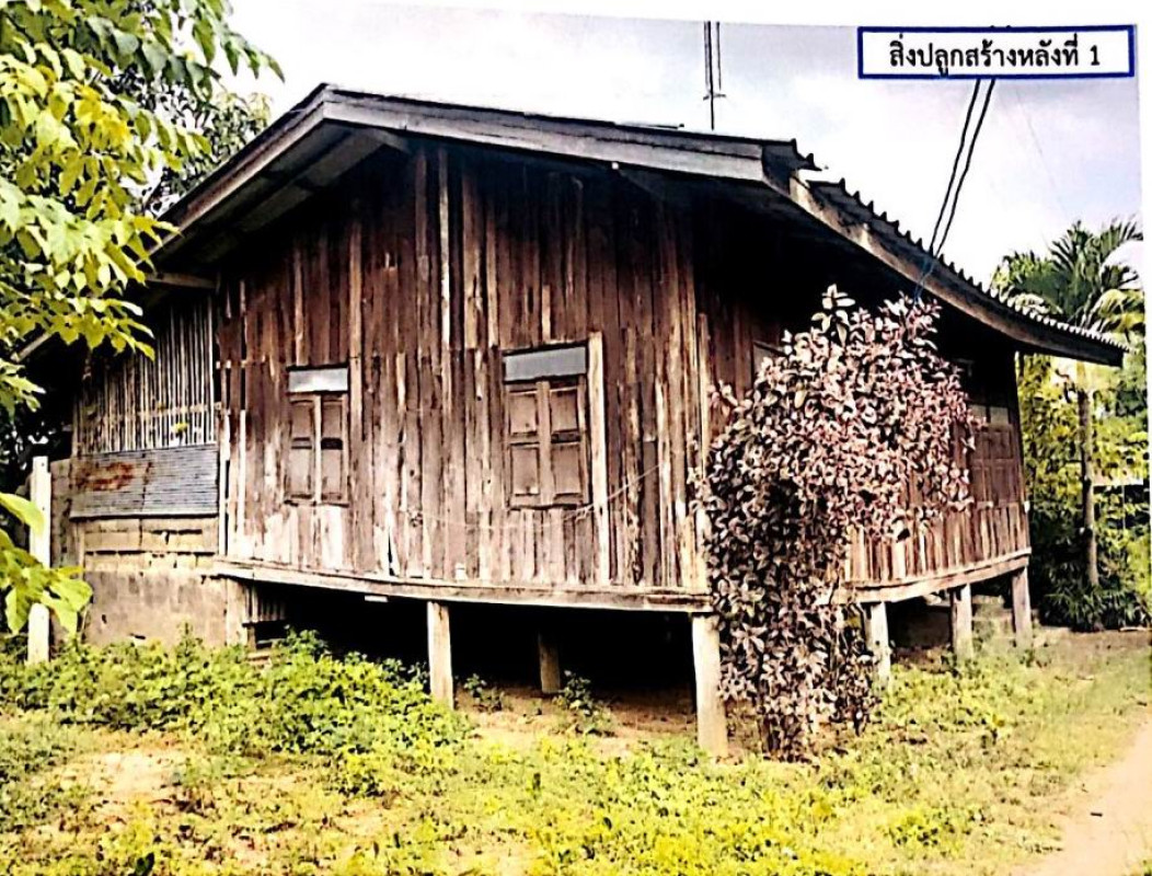 Single house Lamphun Ban Hong Si Tia 175450