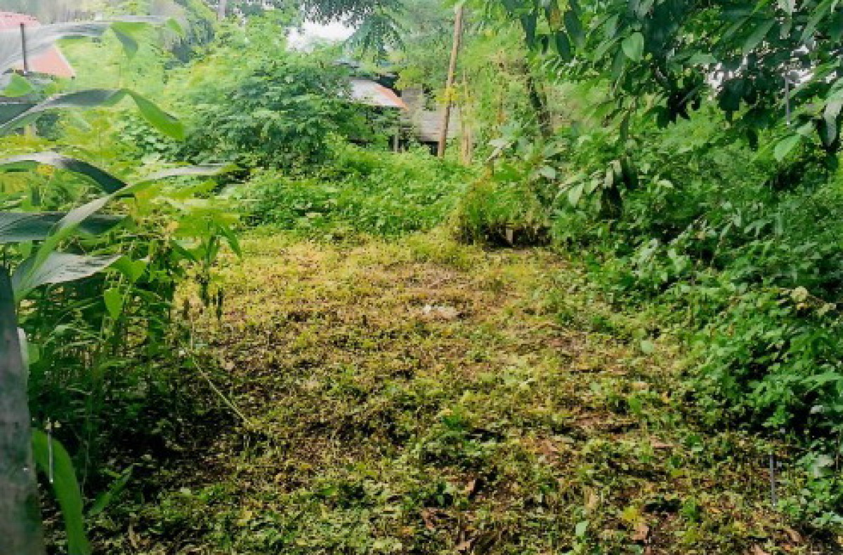 ที่ดินเปล่า สกลนคร สว่างแดนดิน บ้านถ่อน 10250