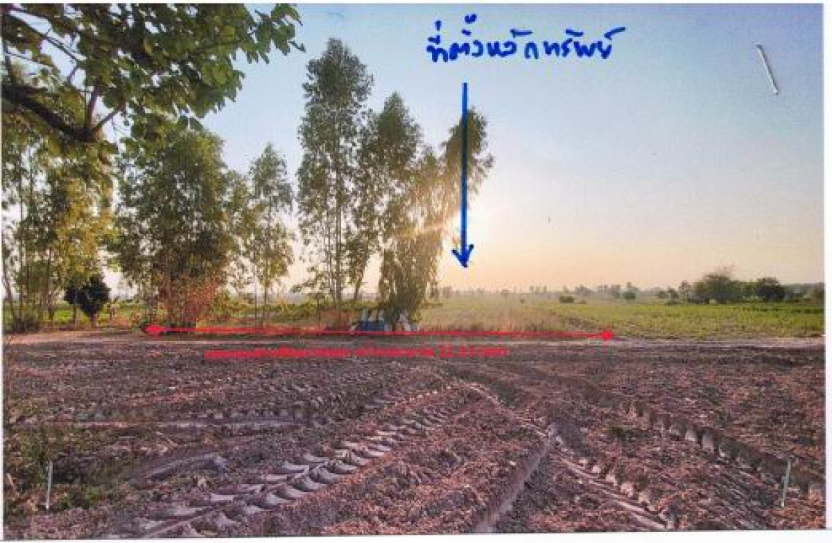ที่ดินเปล่า อุดรธานี วังสามหมอ วังสามหมอ 685250