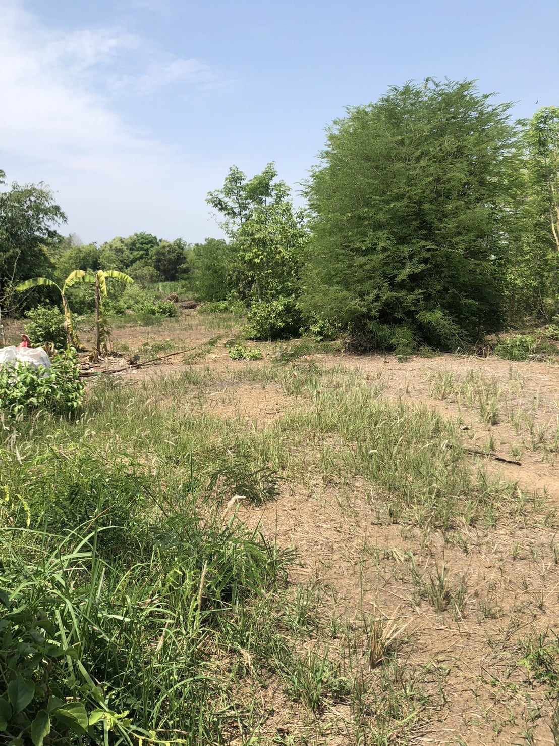 ที่ดินเปล่า สระบุรี หนองแค หนองไข่น้ำ 2200000