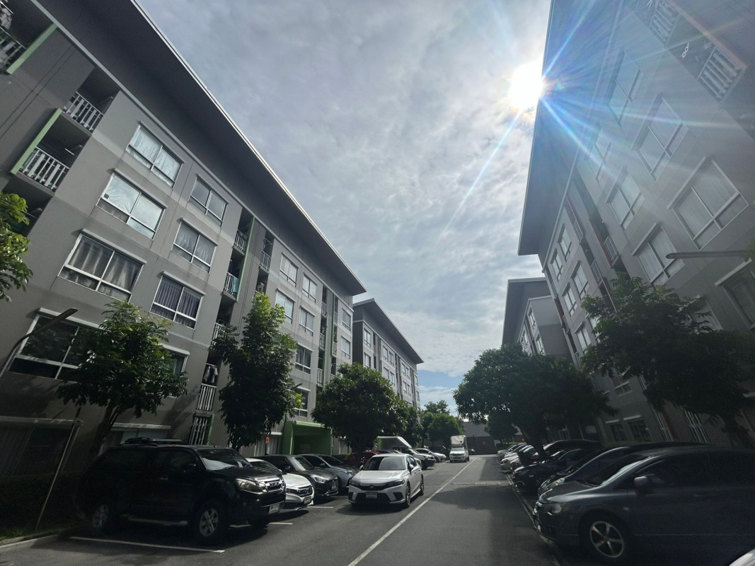 คอนโด พลัม คอนโด โชคชัย 4 กรุงเทพมหานคร ลาดพร้าว ลาดพร้าว 2080800