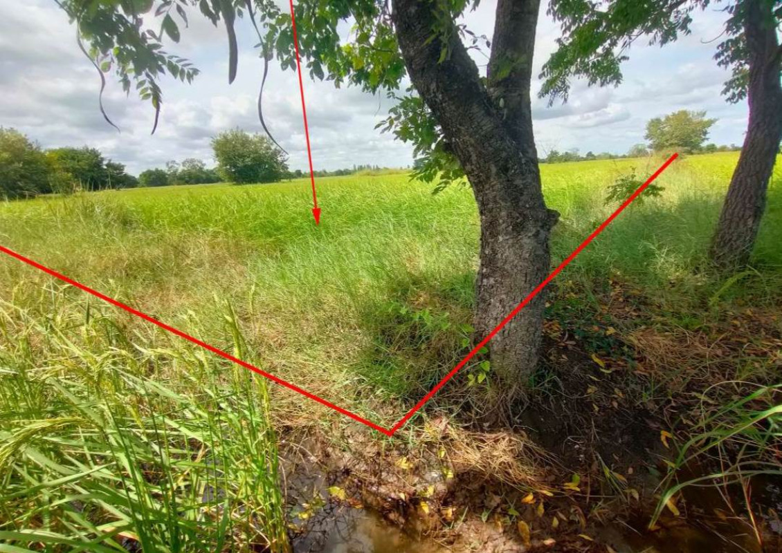 ที่ดินเปล่า นครราชสีมา โนนสูง หลุมข้าว 64000