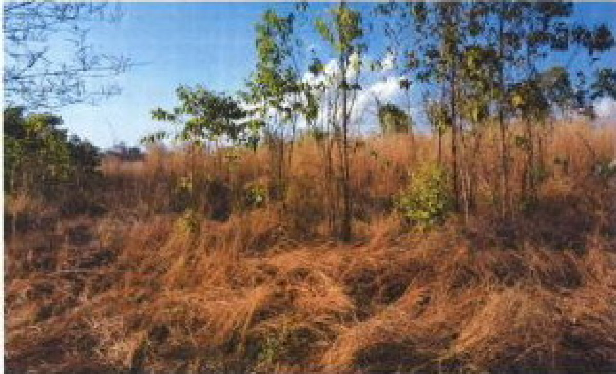 ที่ดินเปล่า สกลนคร วานรนิวาส คอนสวรรค์ 97600