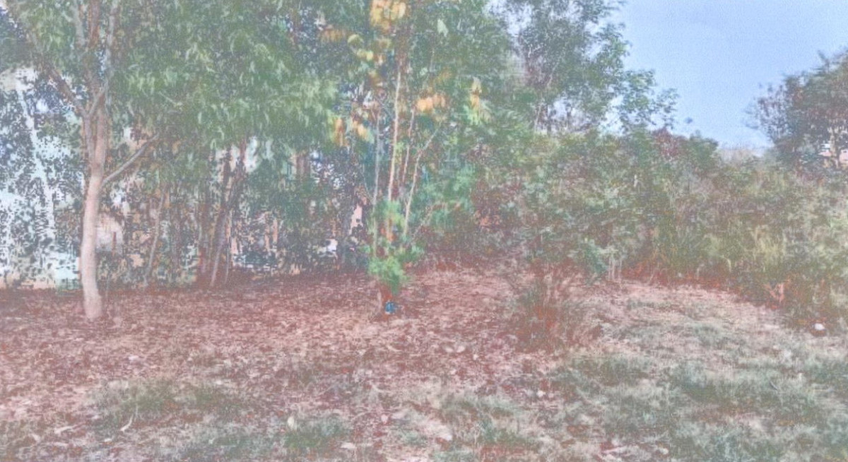 ที่ดินเปล่า อุบลราชธานี เขื่องใน ศรีสุข 48825
