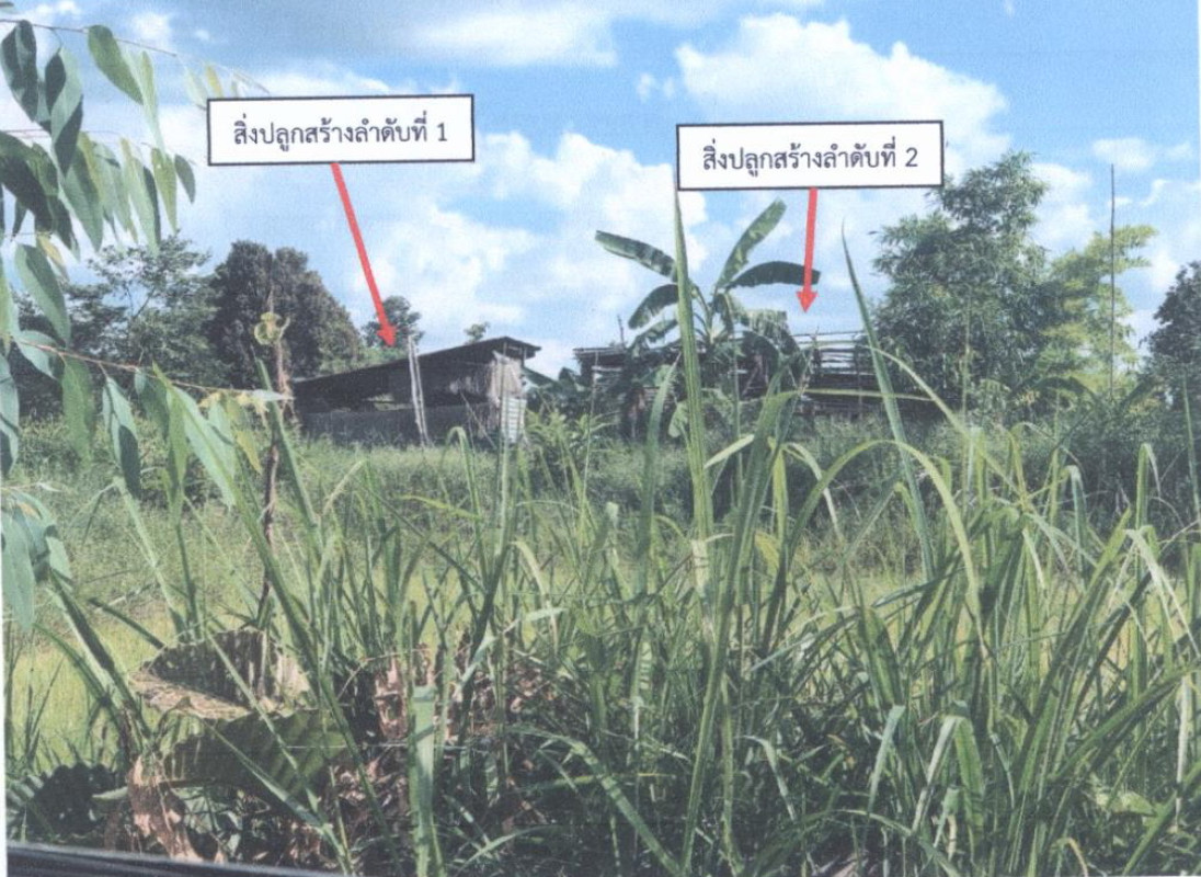 บ้านเดี่ยว อุบลราชธานี ตระการพืชผล นาสะไม 1111319