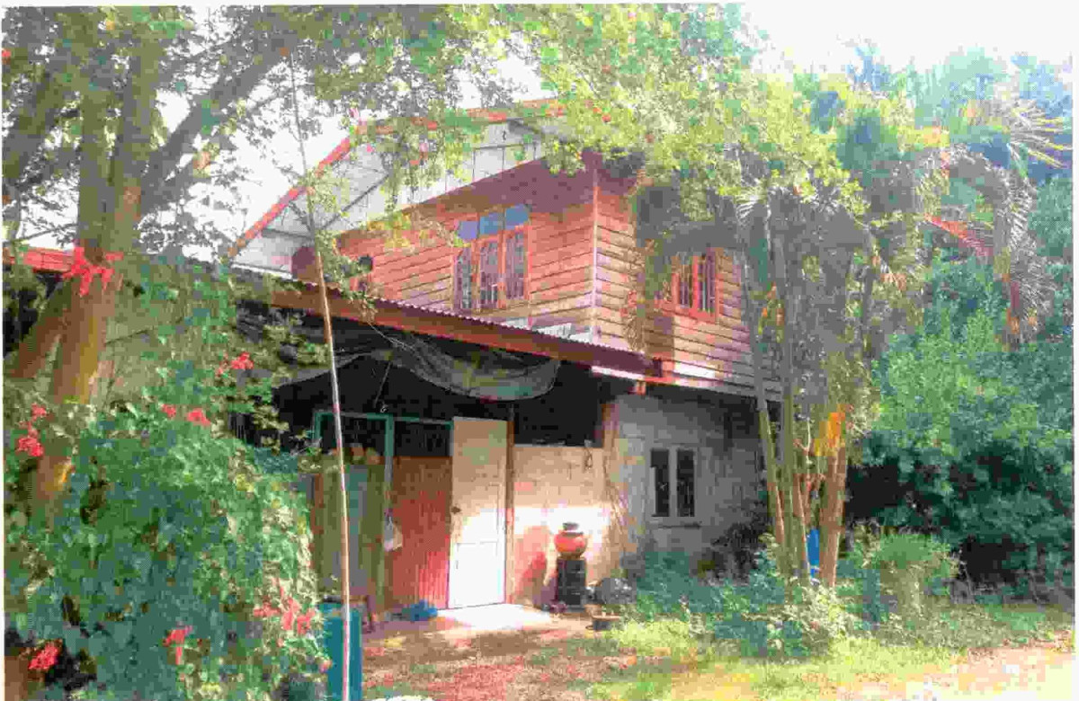 บ้านเดี่ยว หนองคาย ท่าบ่อ นาข่า 1044390