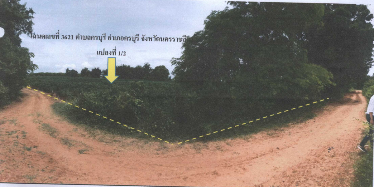ที่ดินเปล่า นครราชสีมา ครบุรี ครบุรี 622200