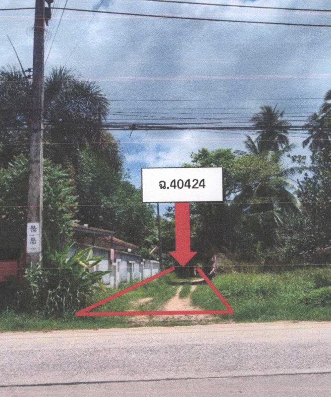 ที่ดินเปล่า สุราษฎร์ธานี เกาะสมุย มะเร็ต 285600