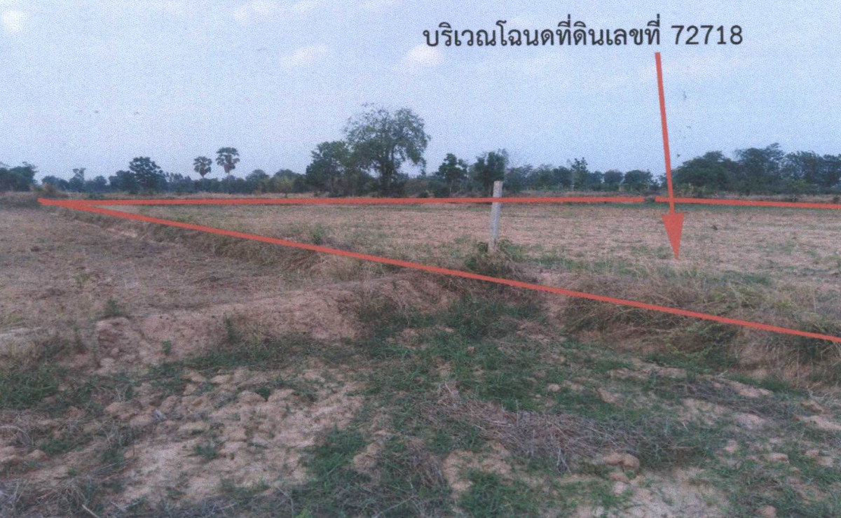 ที่ดินเปล่า นครราชสีมา ปักธงชัย ดอน 240500