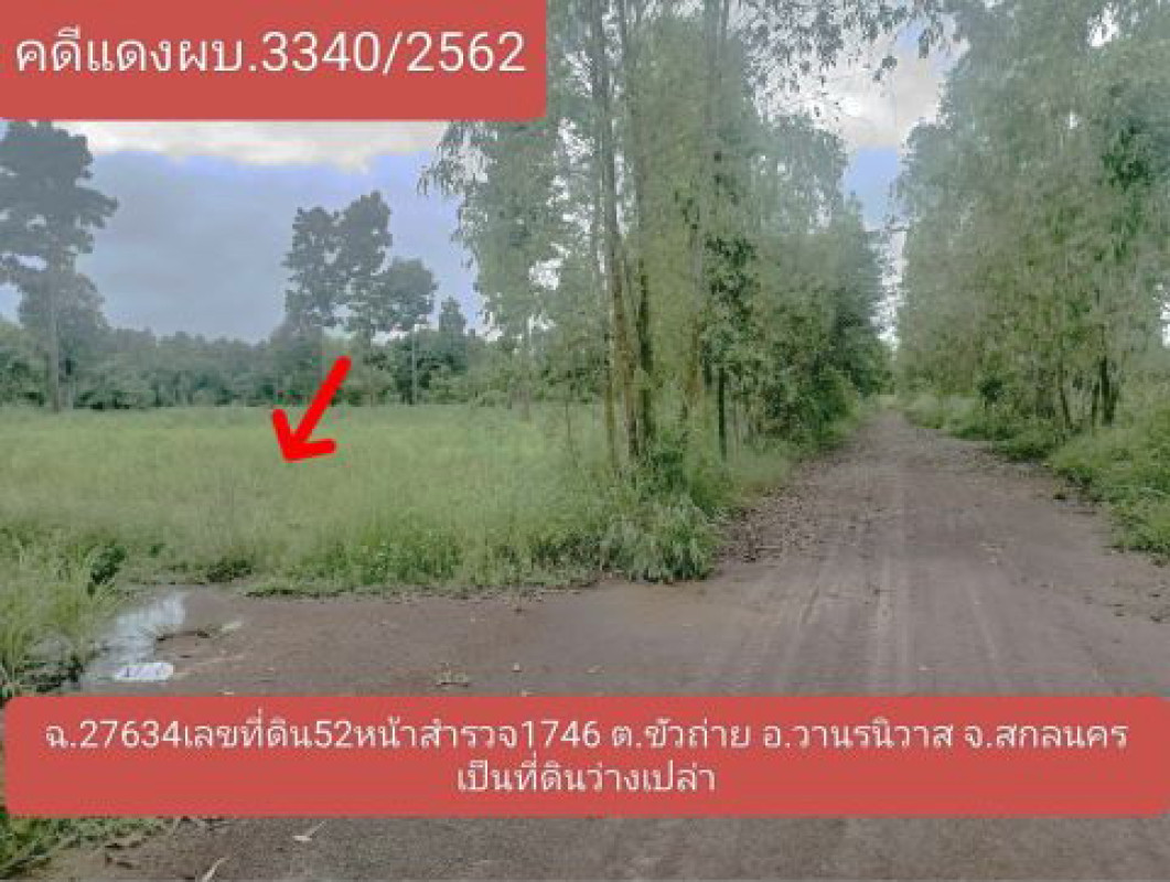 ที่ดินเปล่า สกลนคร วานรนิวาส ขัวก่าย 979370