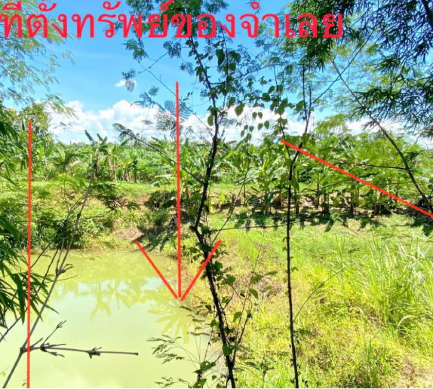 Residential land/lot Phetchabun Lom Sak Sak Long 625500