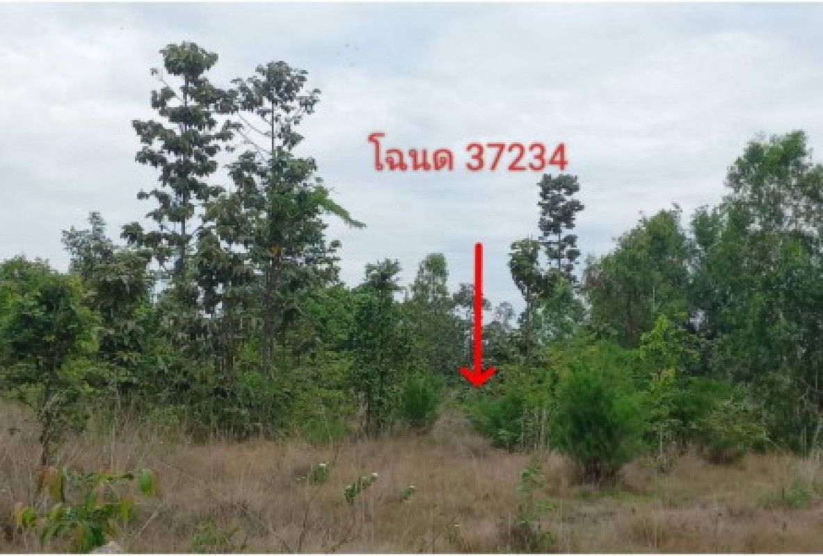 Residential land/lot Ubon Ratchathani Phibun Mangsahan Phibun 42300