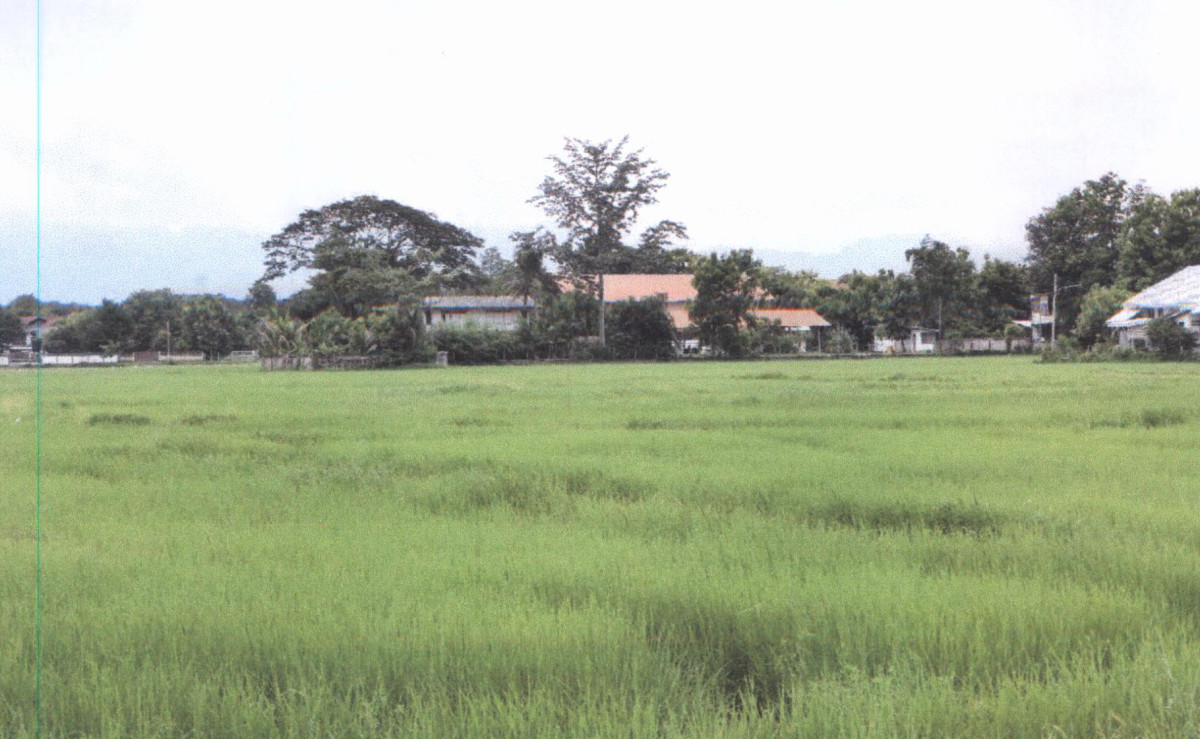 ที่ดินเปล่า แพร่ เมืองแพร่ ทุ่งกวาว 15300