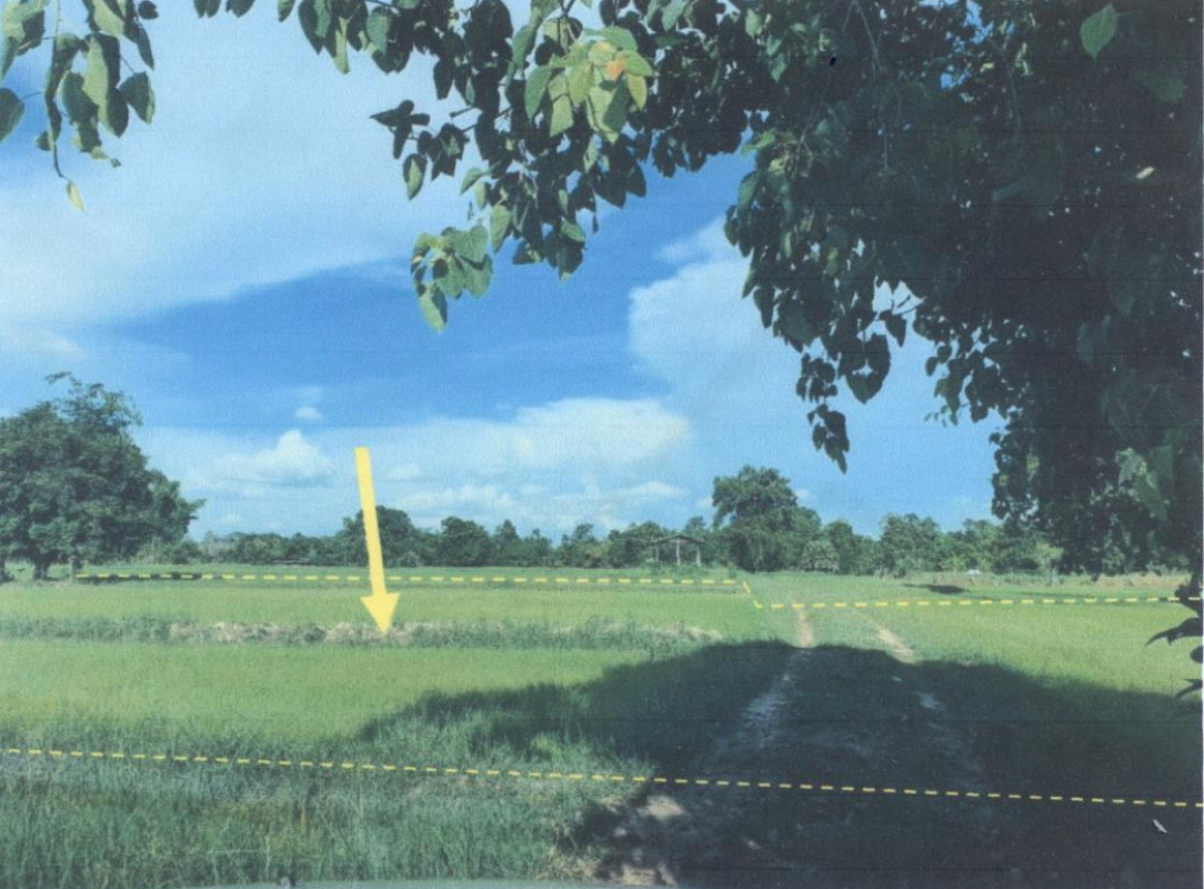ที่ดินเปล่า อุบลราชธานี กุดข้าวปุ้น ข้าวปุ้น 484650