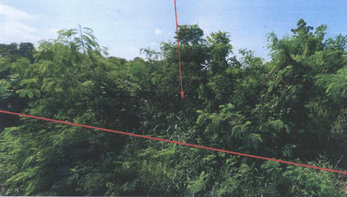 Residential land/lot Nakhon Ratchasima Kham Sakaesaeng Mueang Nat 72300