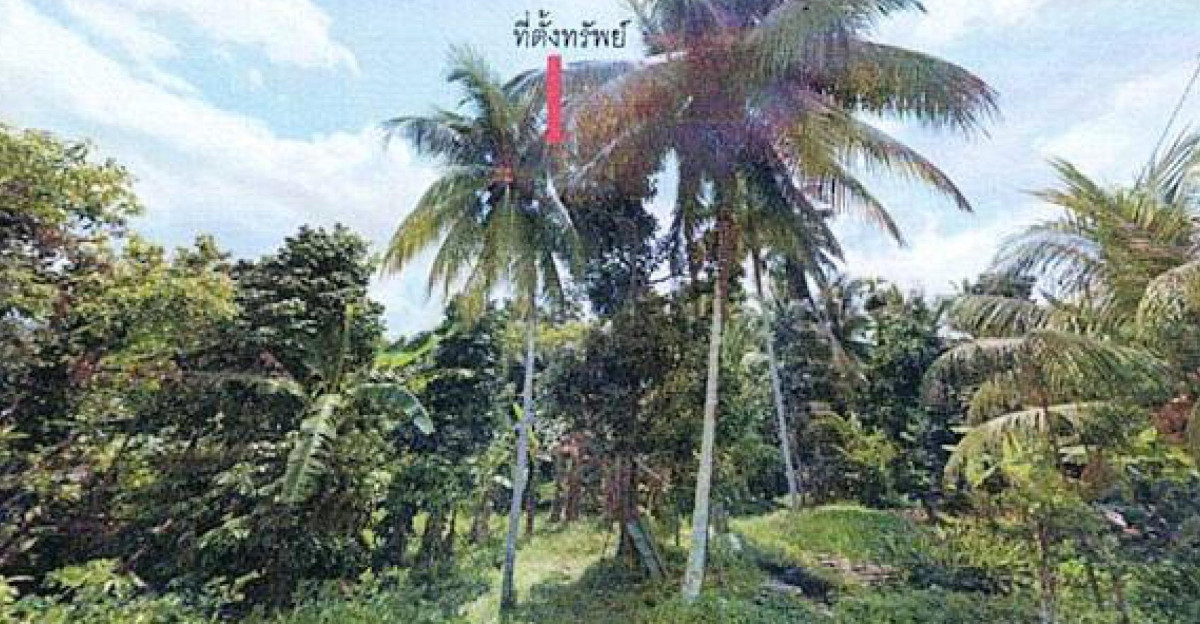 ที่ดินเปล่า ปัตตานี ปะนาเระ ท่าน้ำ 16520