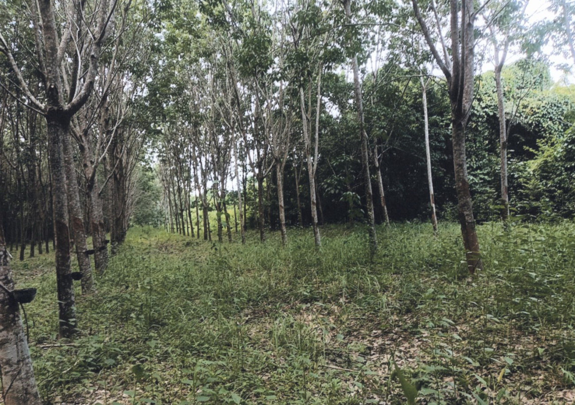 Single house Nakhon Phanom Mueang Nakhon Phanom Kham Toei 400200
