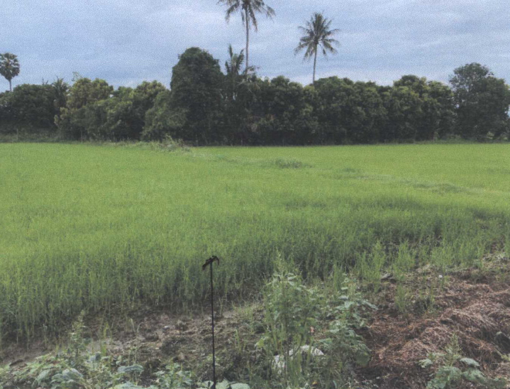 Residential land/lot Phetchaburi Tha Yang Tha Yang 649500