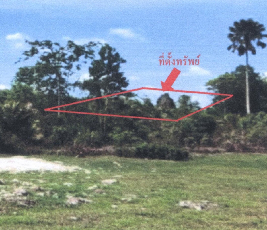 ที่ดินเปล่า สงขลา เทพา ปากบาง 177860