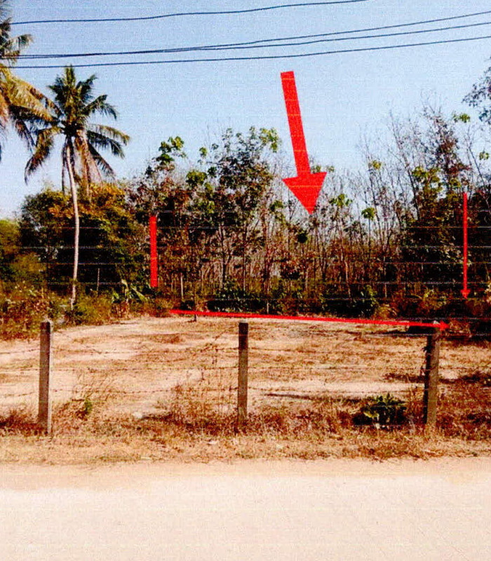 ที่ดินเปล่า ศรีสะเกษ ราษีไศล ไผ่ 88400